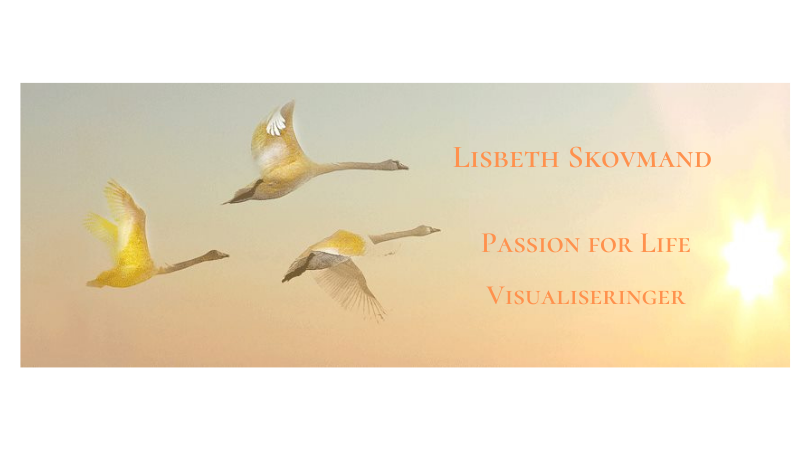 Passion for Life - visualiseringer