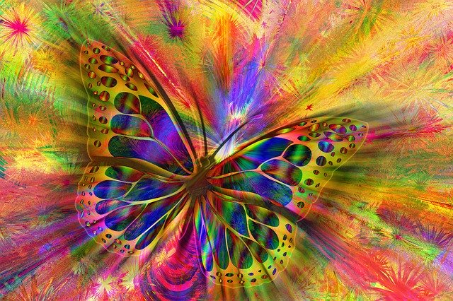 buterfly