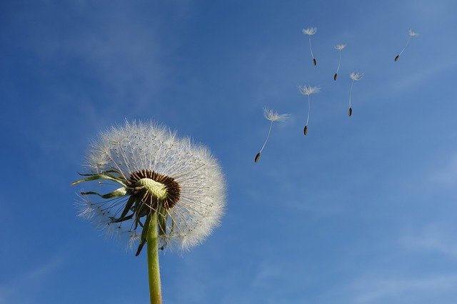 letting go