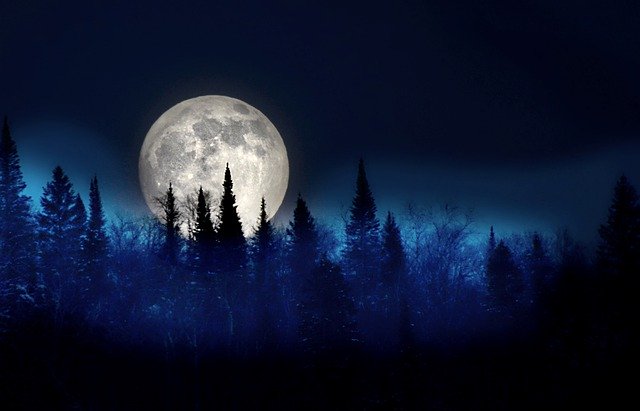 sleep well